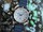 Montre plonge grise