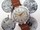 Chronographe SADA m�canique