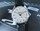 Montre FARREN PRICE m�canique